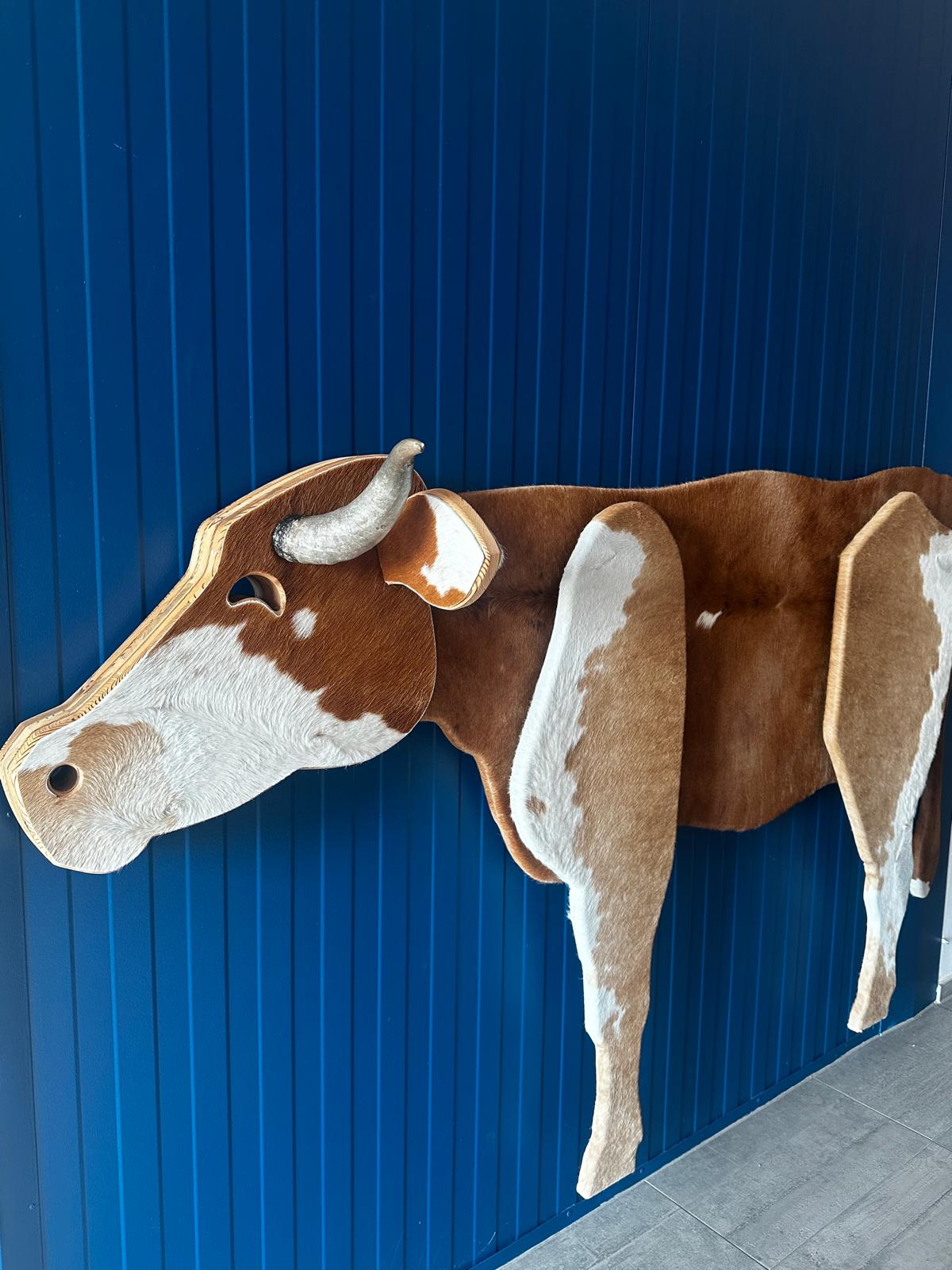 8e1127ec-6274-4703-8bf5-d81c107a1f23